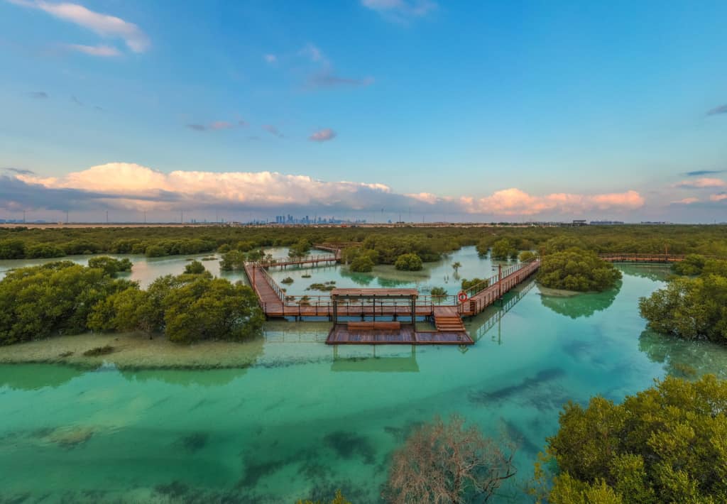 abu dhabi mangrove