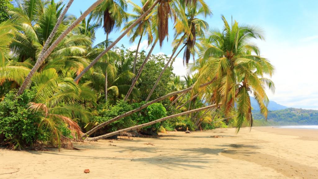 uvita beach costa rica