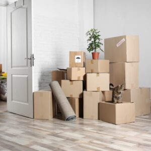 relocation consultant