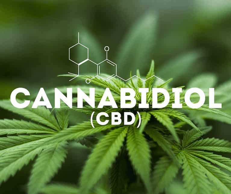 cbd jobs and careers