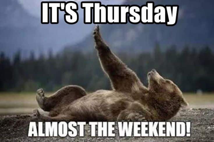 thursday meme bear chilling