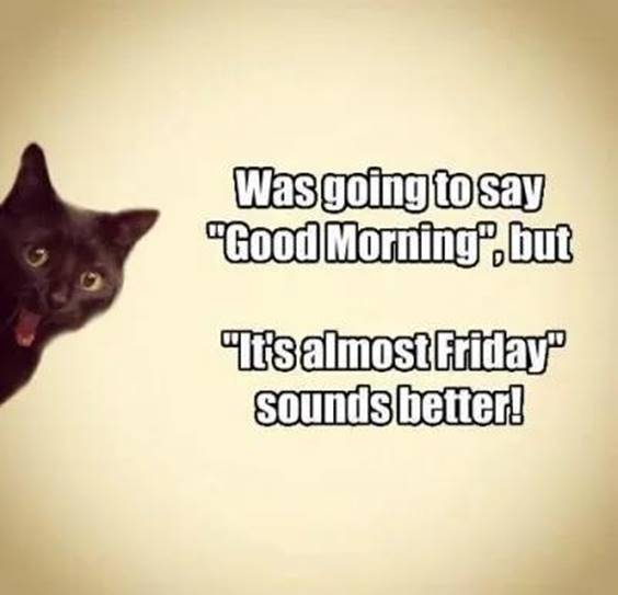 cat thursday greeeting meme