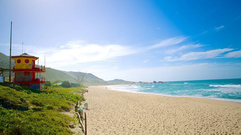 mole beach brazil