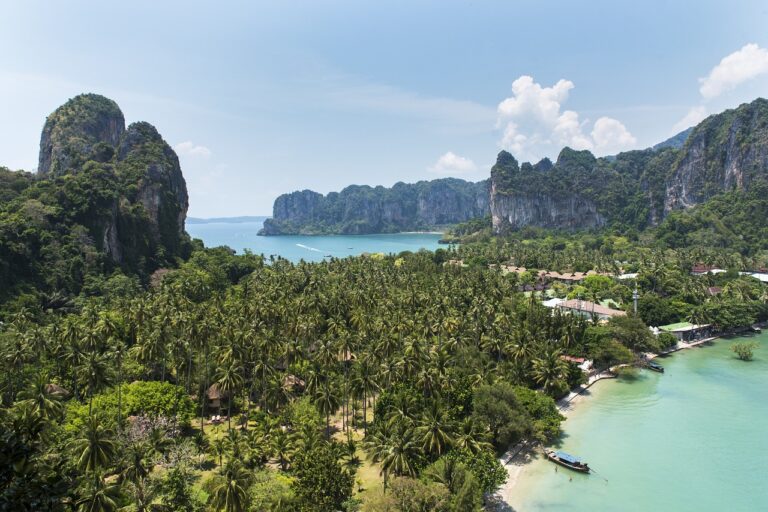 work remotely from thailand