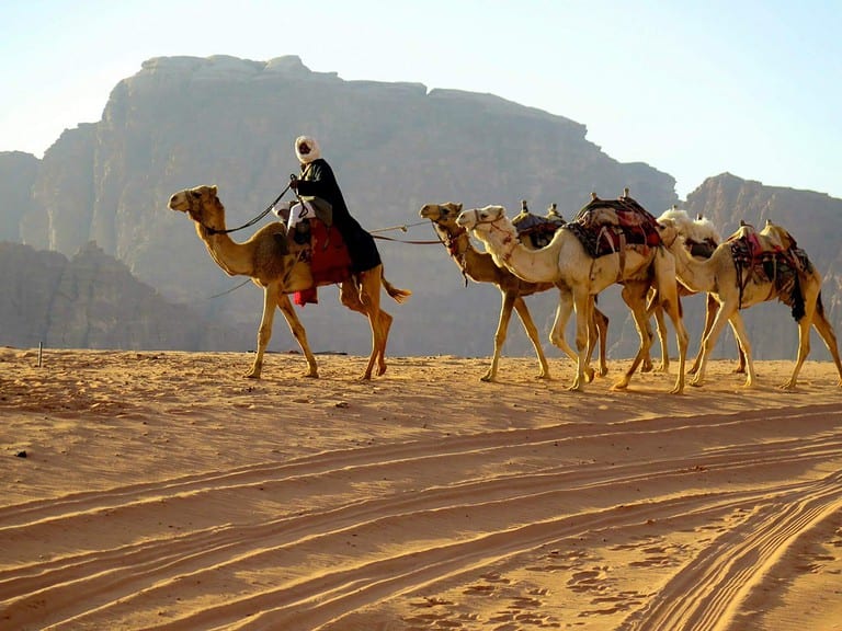 tuareg nomads