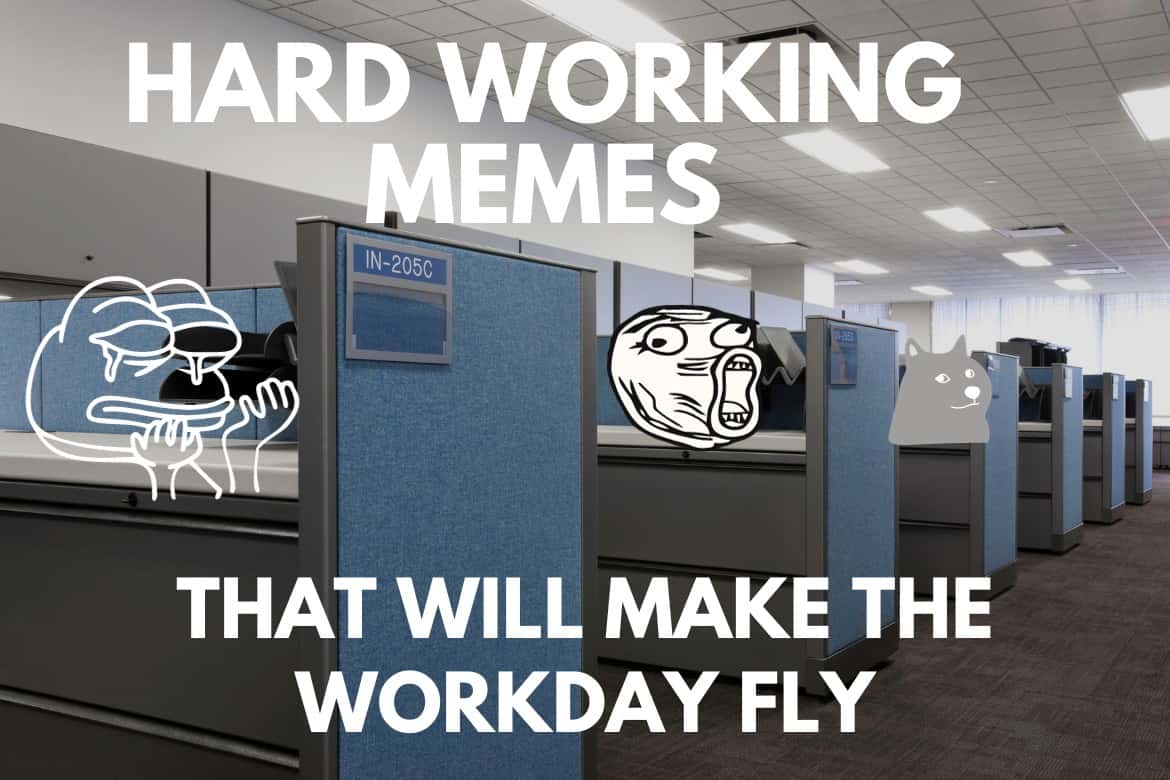 hard working meme collection