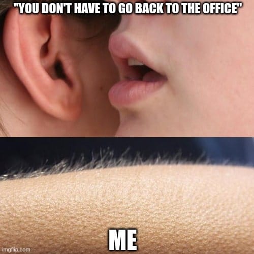 work from home meme