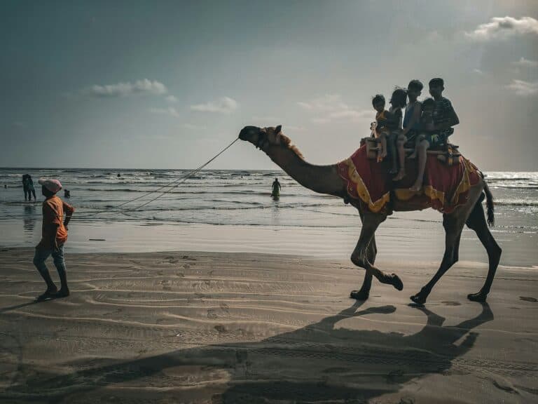 morocco camel beach
