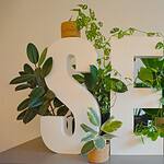 build seo strategy
