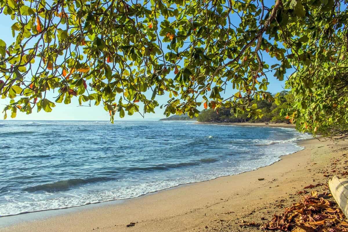 thailand for nomads
